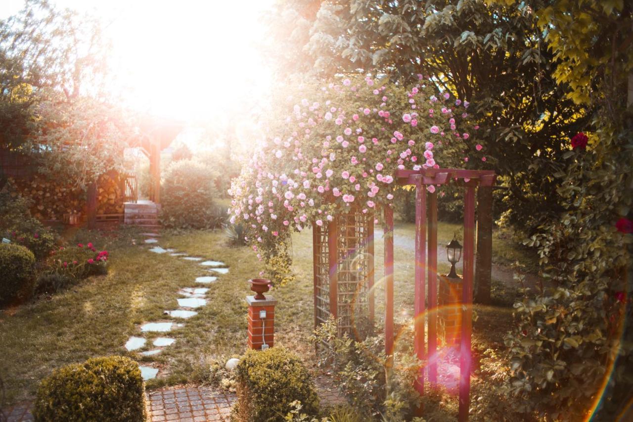 Bed & Breakfast Unter Den Linden Hungen Luaran gambar